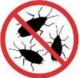 Тараканы и борьба с ними