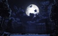 Огромная Луна на ночном небосводе