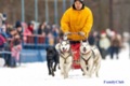 В Харькове пройдет завершающий этап соревнований в собачьих упряжках